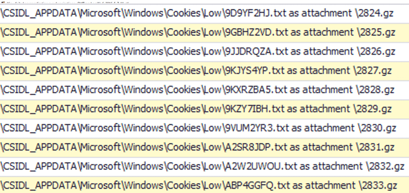 csidl_appdata microsoft windows cookies data screenshot