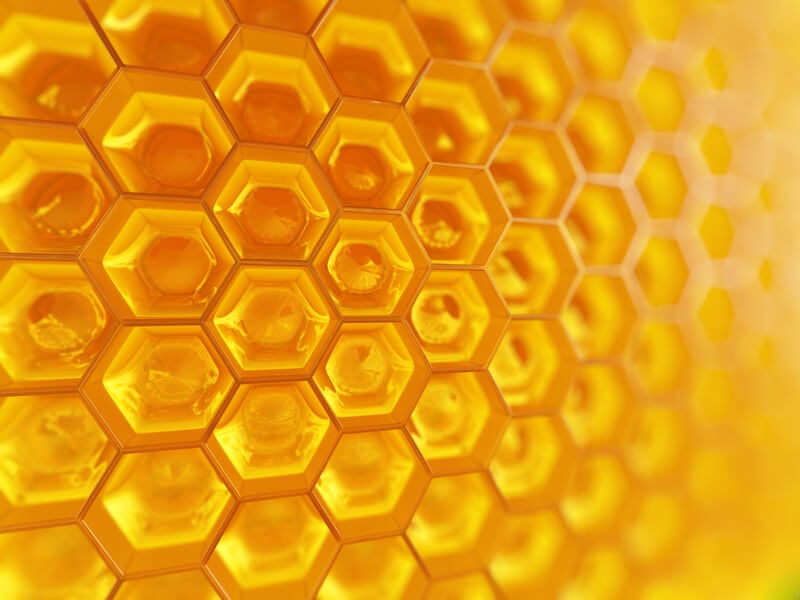 honeycomb hive graphic