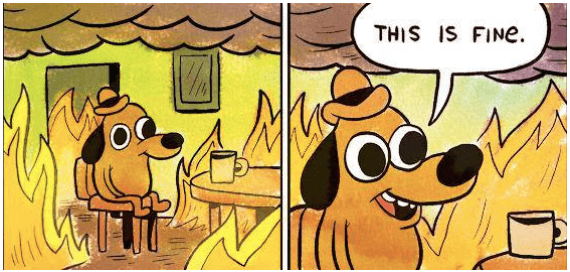 meme - dog in room on fire saying this is fine