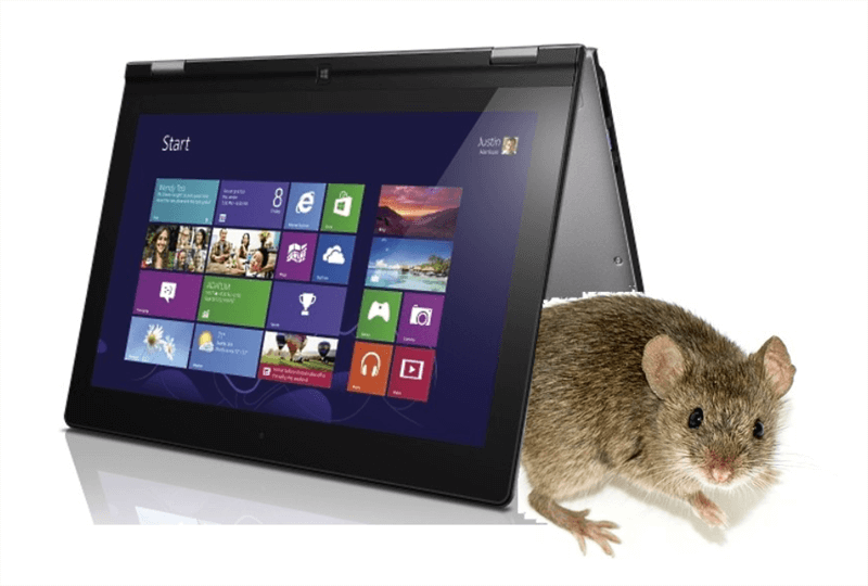 tiny mouse under a standing tablet