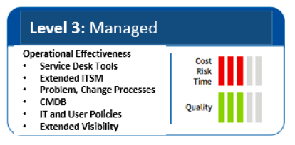 IT service management attainment model - level 3: managing. screenshot