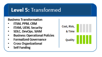 IT service management attainment model - level 5: transformed. screenshot