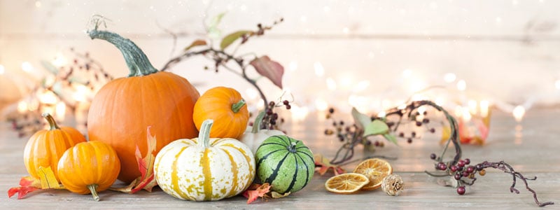 pumpkins - Fall/Autumn photo
