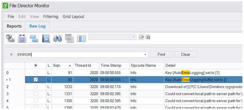 file firector monitor - raw log screenshot