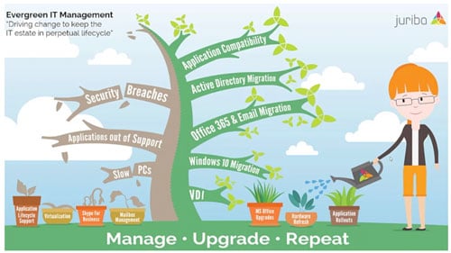 evergreen it management infographic