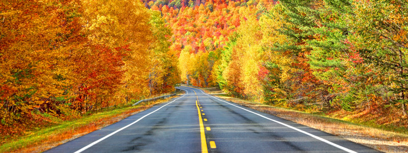 photo of a road surrounded by fall foliage