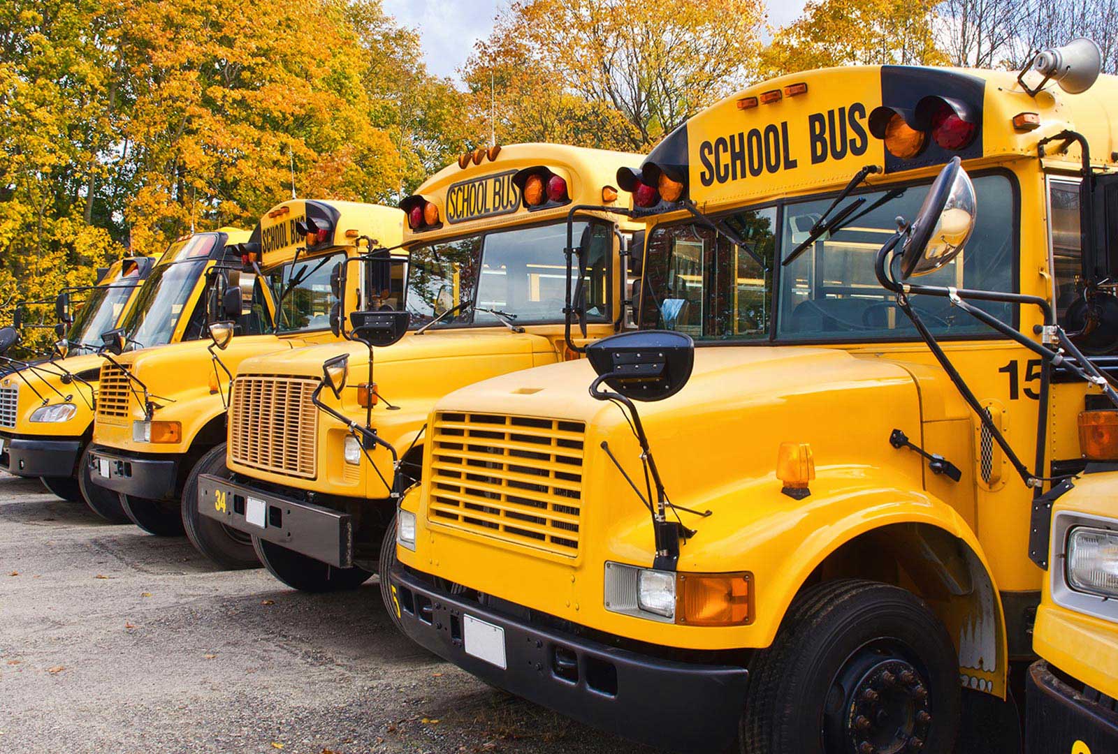 Yellow school buses lined up in a parking lot.