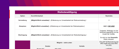 risk finding