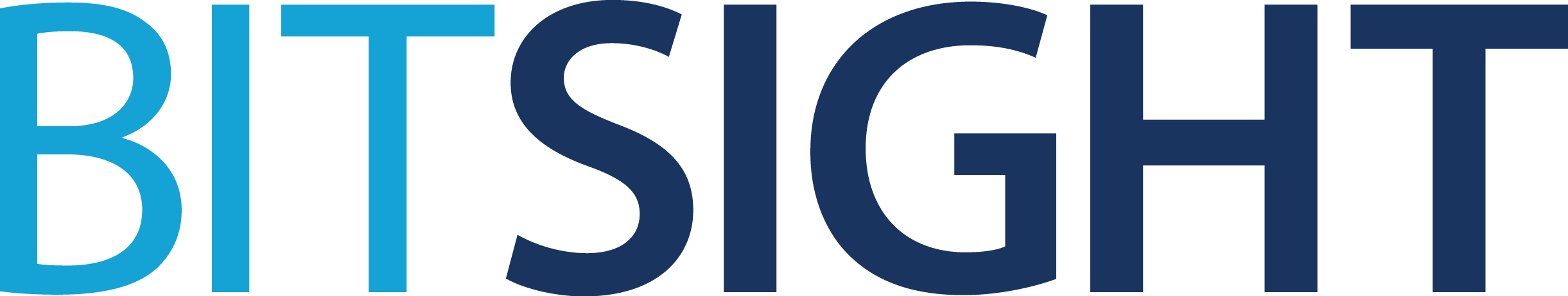 bitsight logo