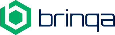 brinqa logo