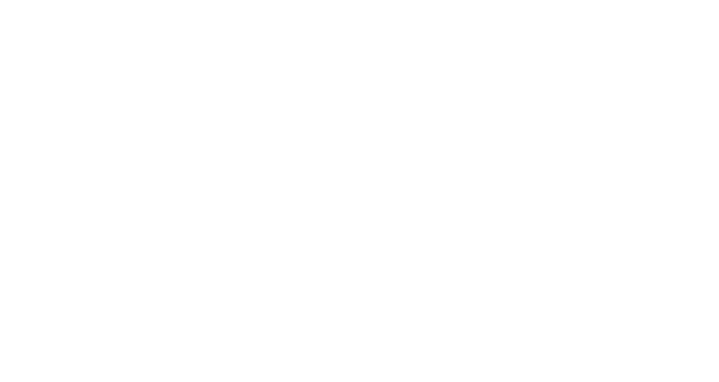 debevois + plimpton logo