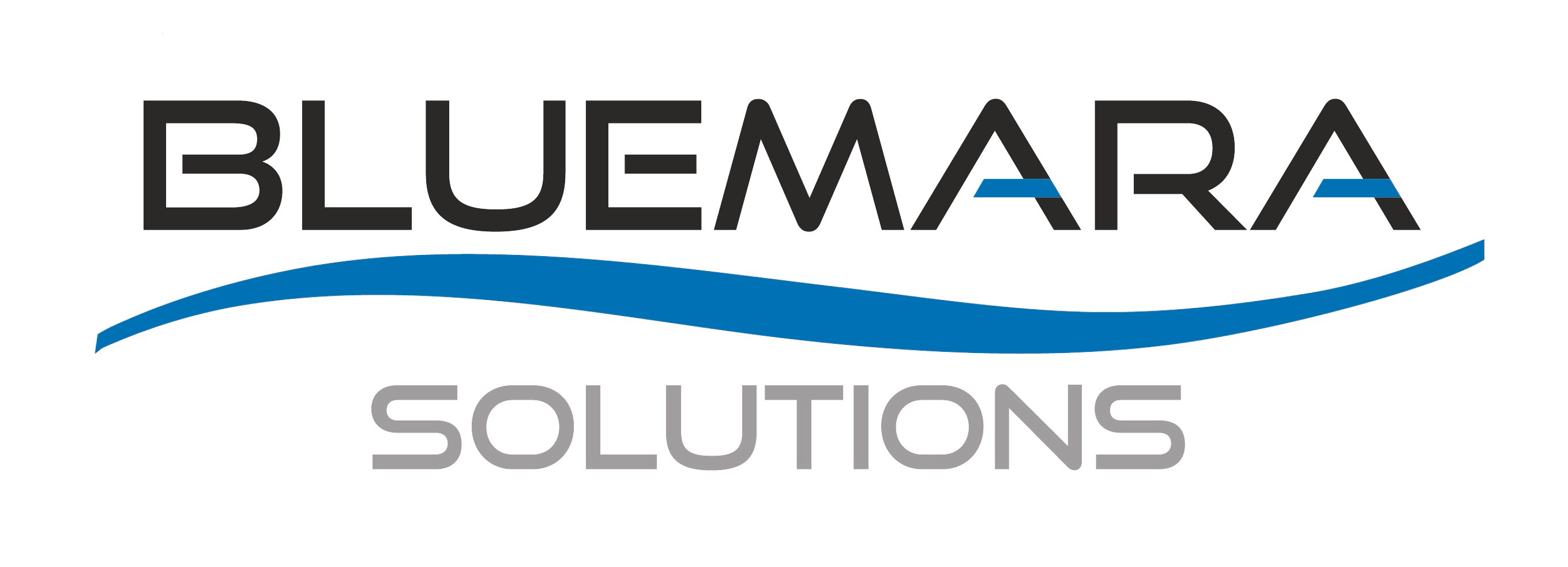 bluemara logo