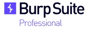PortSwigger Burp Suite Professional