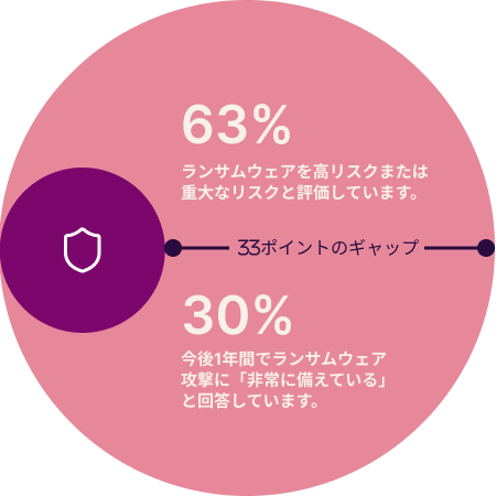 display of a circular chart listing the percentages 63% and 30%