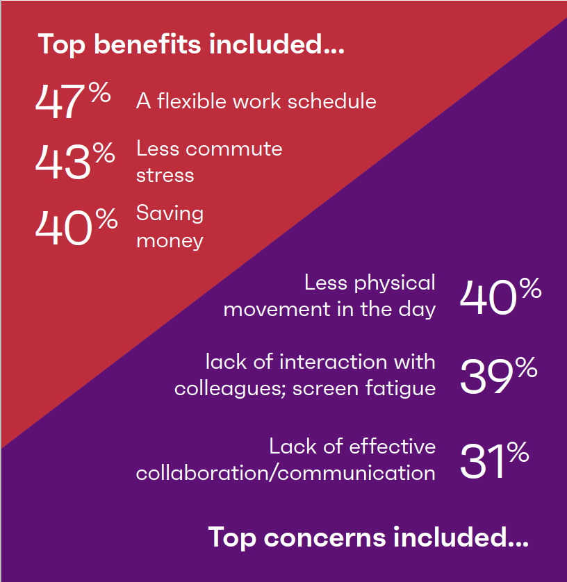 Everywhere Workplace Survey Results for US Infographic Screenshot