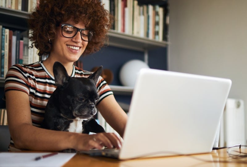 Smiling woman with a french bulldog on her lap interacting with a laptop.
